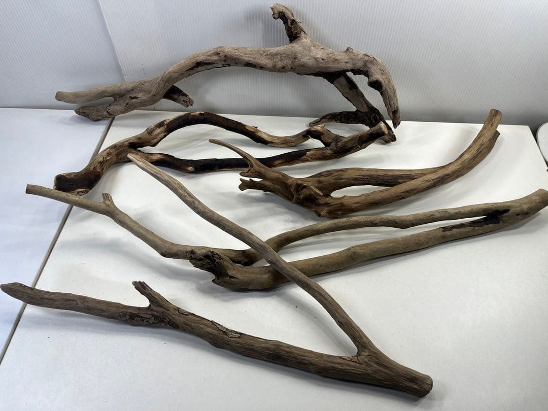 F4 アク抜き済み流木セット爬虫類シェルター 登り木 インテリア 生け花