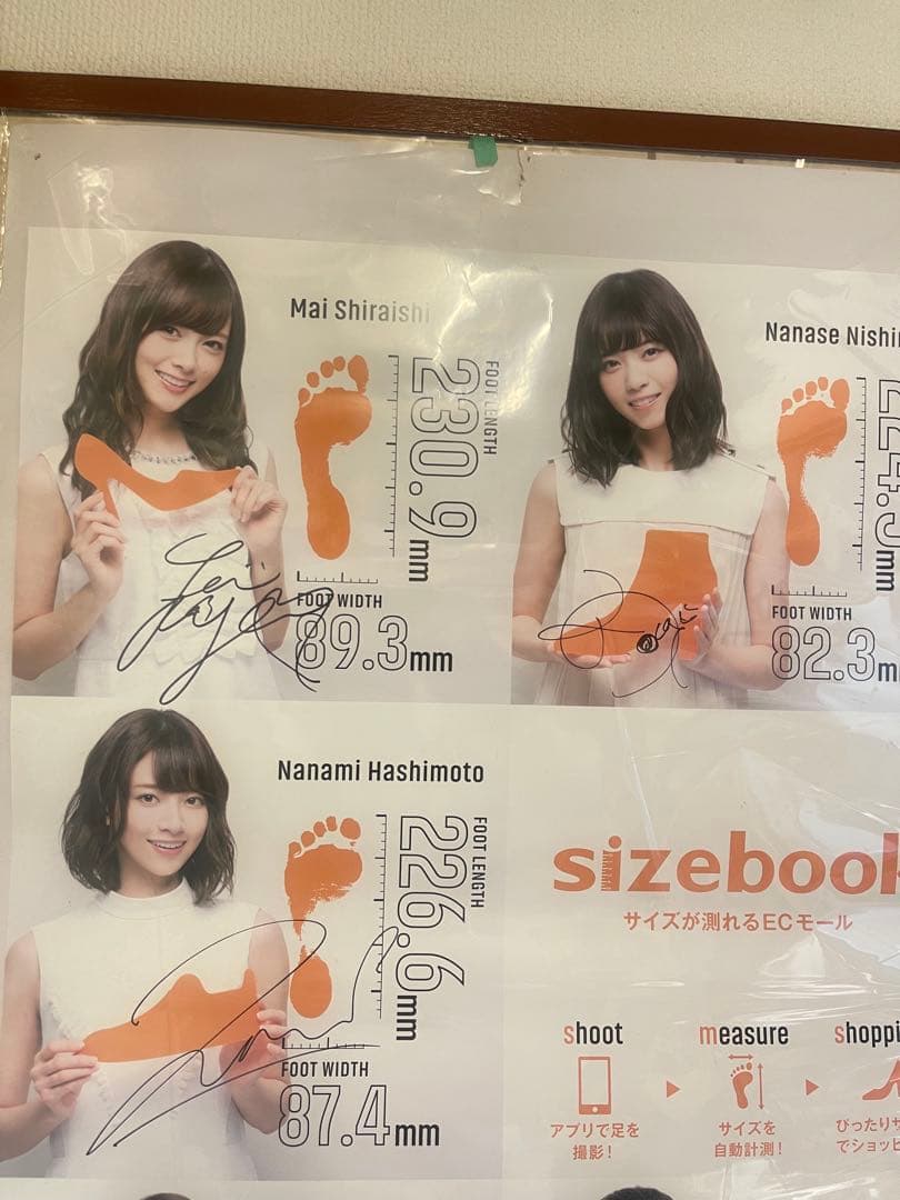 ポスター sizebook 乃木坂46 サイン 白石麻衣,西野七瀬,橋本奈々未