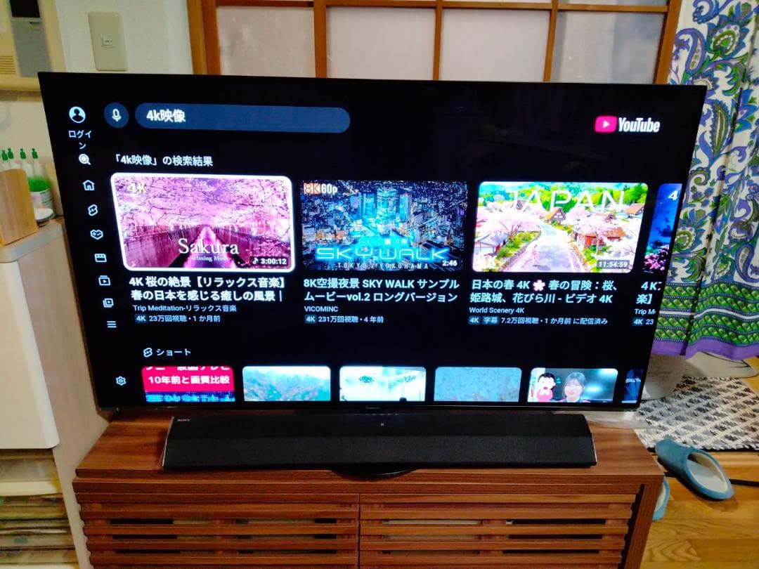パナソニック ビエラ 有機EL 4K TH-55HZ1000 2020年 保証付