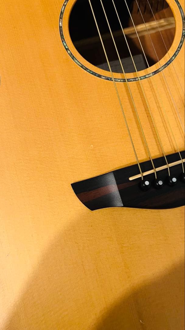 値下げしました！Faith エレアコ/FS3EB - メルカリ