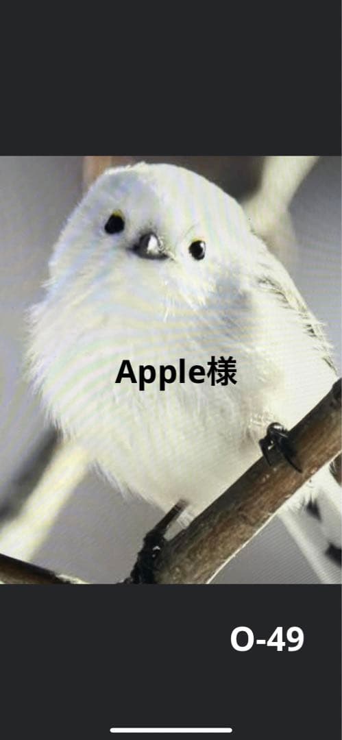 Apple様オーダーページ ハンドメイド・手芸 バッグ その他
