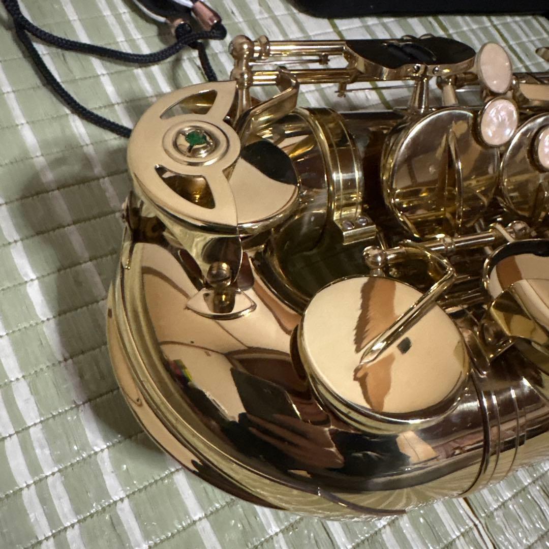 SELVA セルバ アルトサックス SAS-100 ケース付き　管楽器　音楽