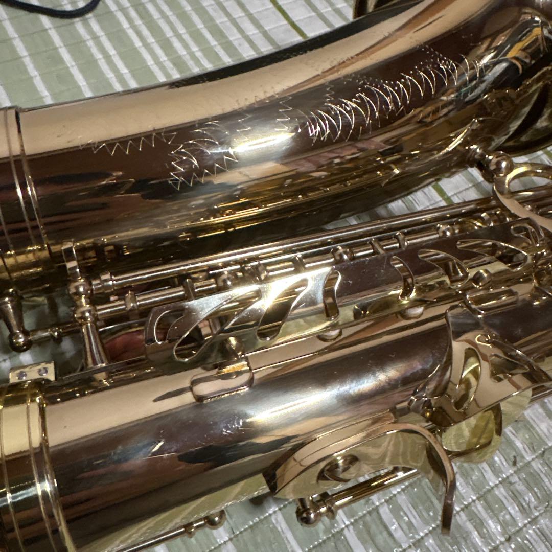 SELVA セルバ アルトサックス SAS-100 ケース付き　管楽器　音楽