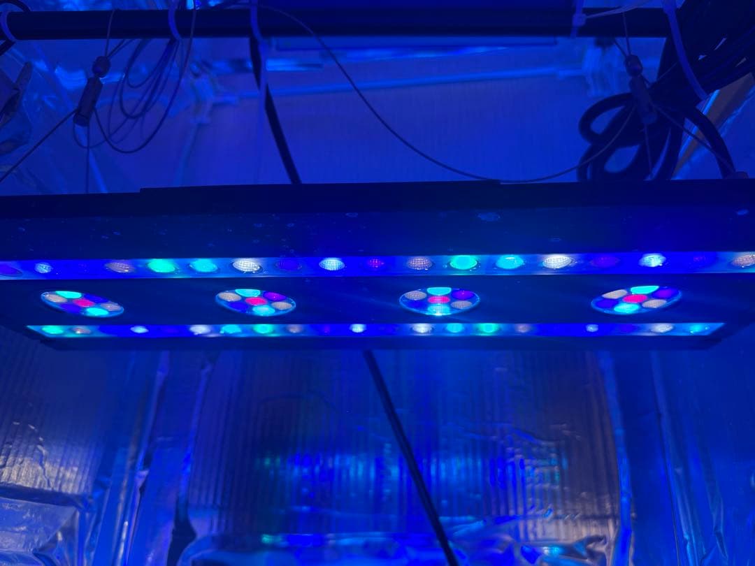 スペクトラ　SP200 Reef Depth Spectrum System