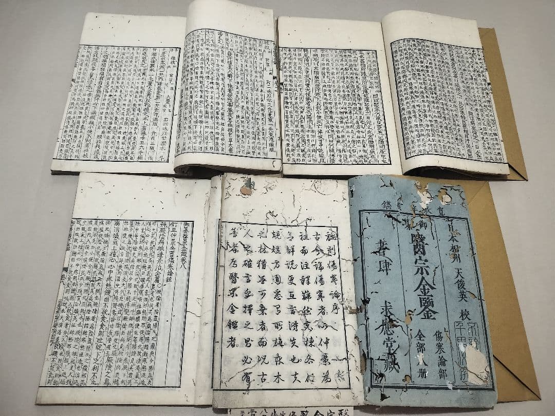 古方漢方の世界傷寒論を読む川口由一著「叢書 古方漢方の