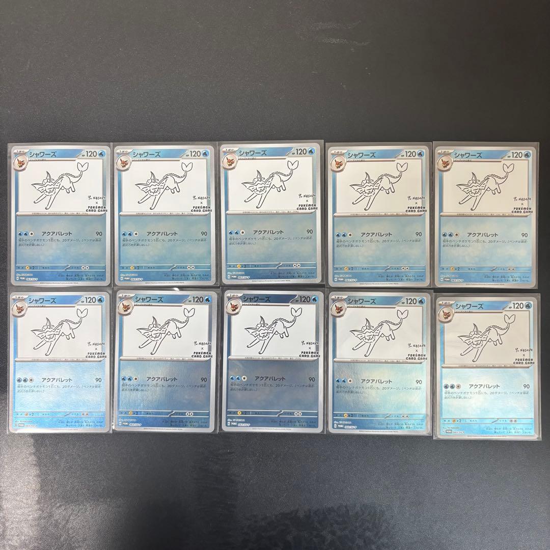 タカラガイ 貝殻 Histrio Rusty 貝殻 タカラガイ Histrio Rusty 貝殻の