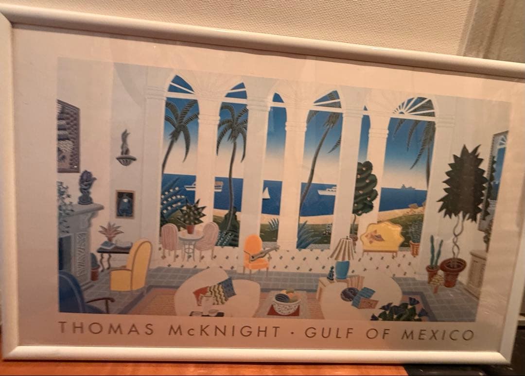 【値下】大型　トーマス・マックナイト GULF OF MEXICO