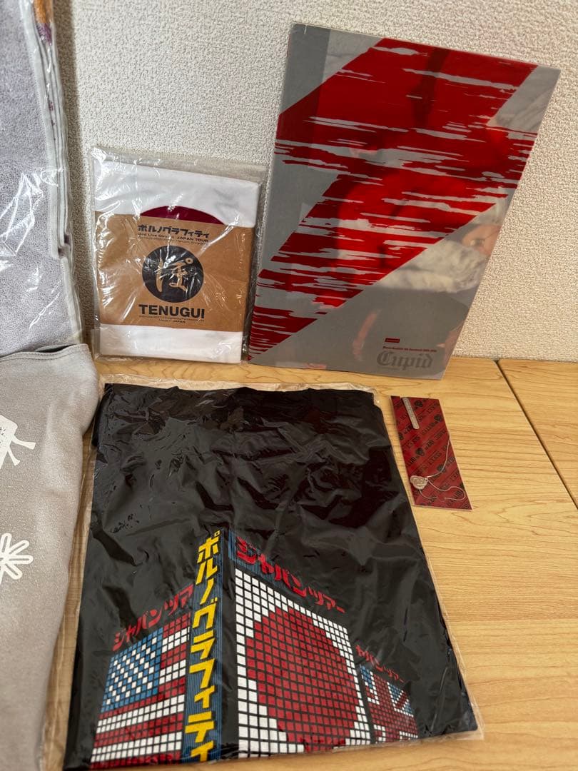 【美品】ポルノグラフィティ 過去レアグッズ 6点セット