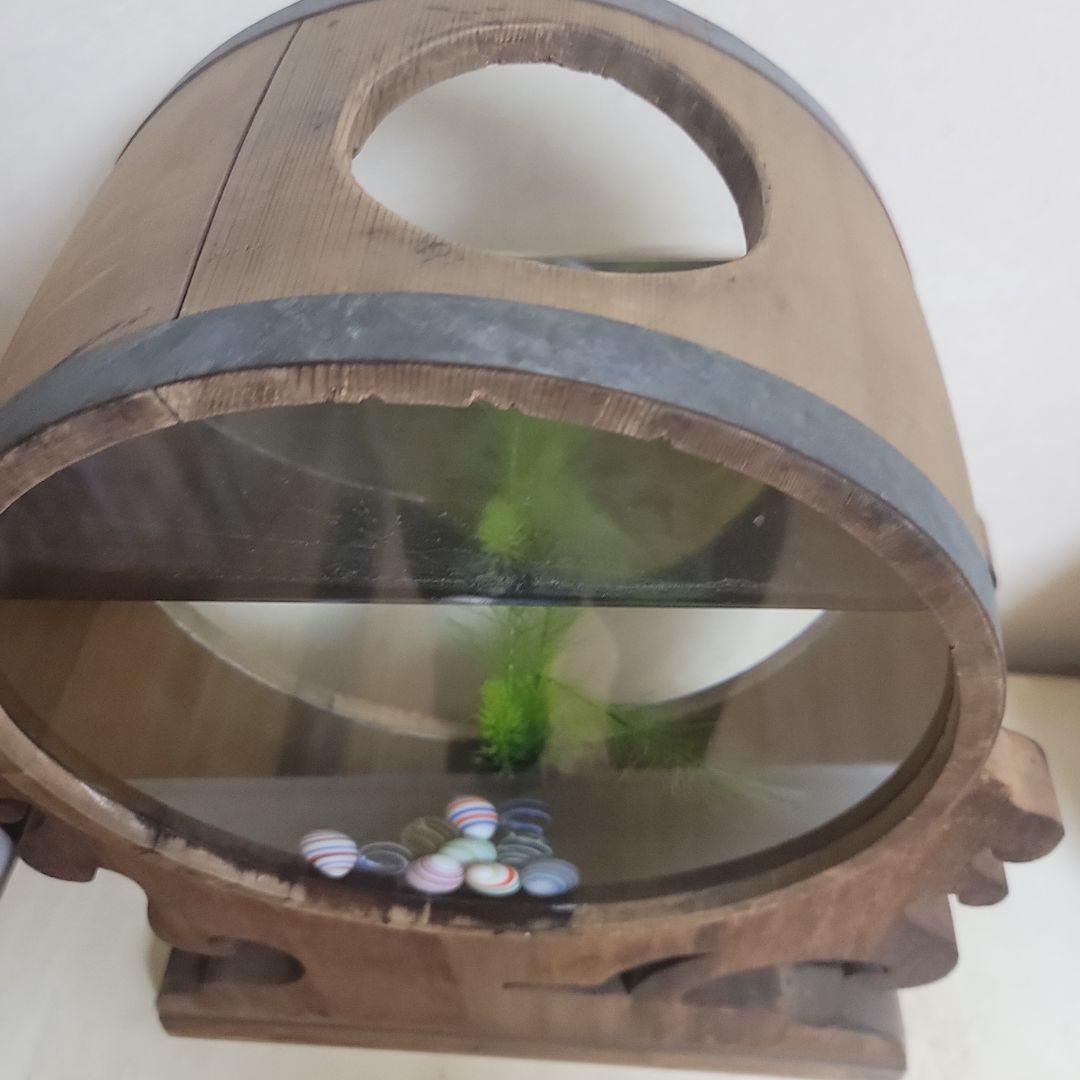 ー様 木製 形金魚鉢 中型 人工水草付き