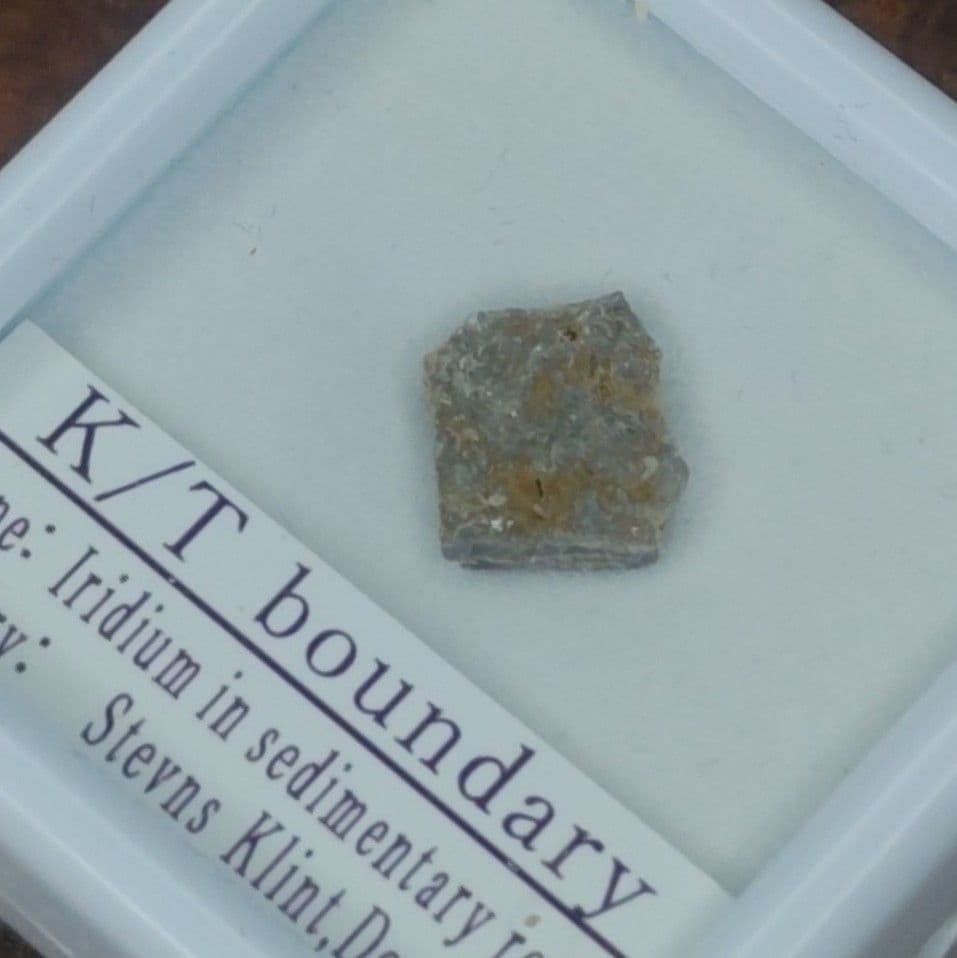 入手不可！小惑星のかけら K-T境界層（K/Pg境界頁岩）標本