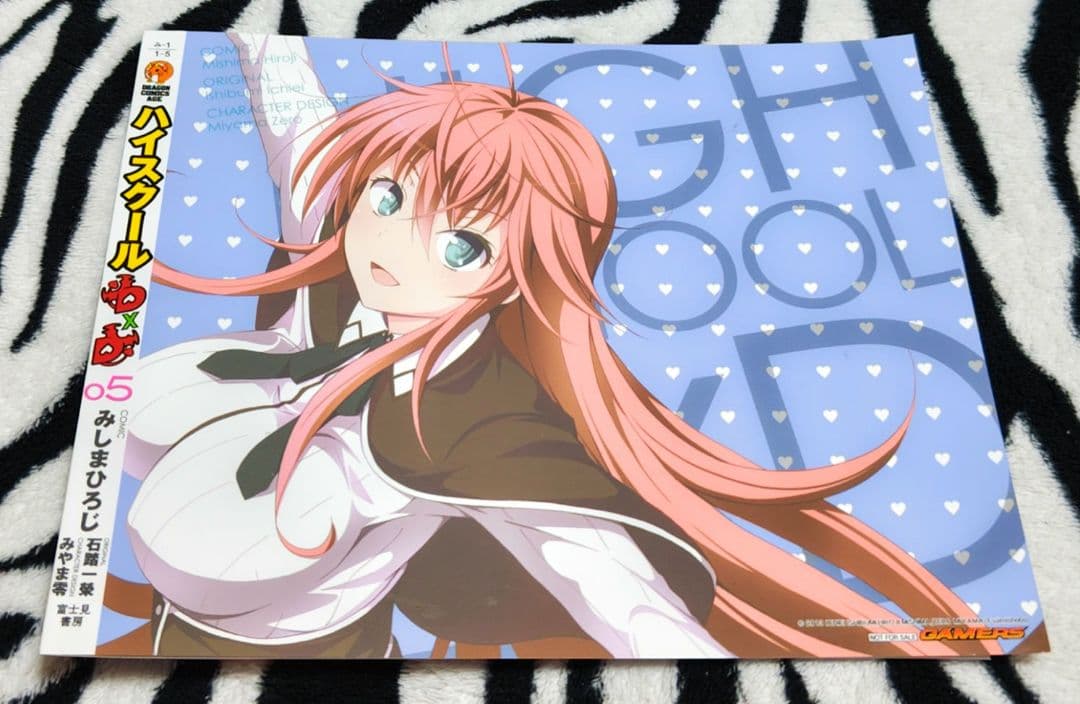 ハイスクールD×D ⑤ ゲーマーズ 特典 ブックカバー NOT FOR SALEの通販