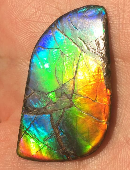 セール】IMPERIAL アンモライト 両面レインボー レアルース