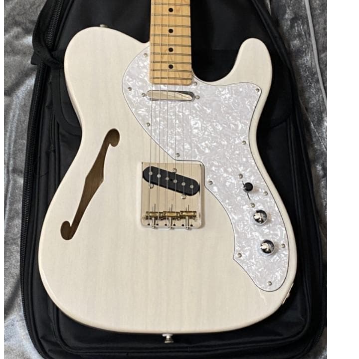 FUJIGEN NTE10MAHT テレキャスターシンライン 国産本格モデル