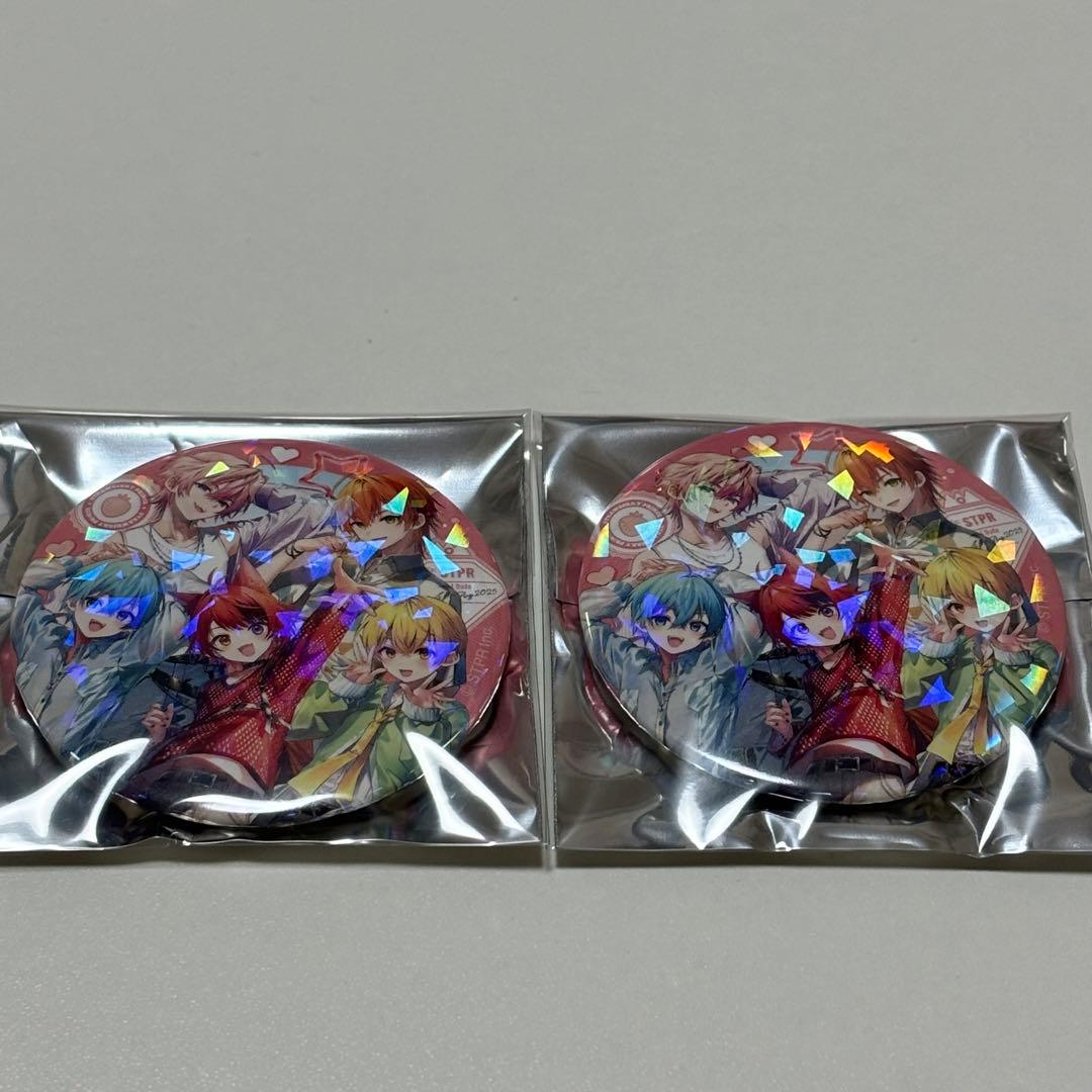 集合Summer ver. すにすて 缶バッジ 17点