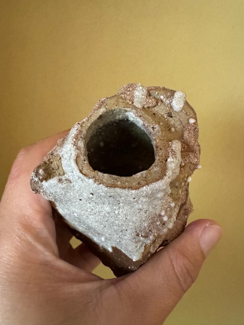 Simon Manoha 茶入 フランス人作家