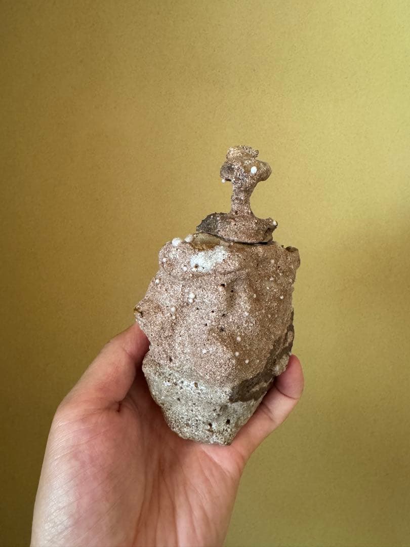 Simon Manoha 茶入　フランス人作家