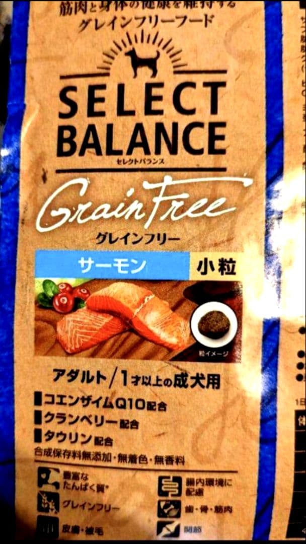 セレクトバランス グレインフリー アダルト サーモン 成犬用 10kg