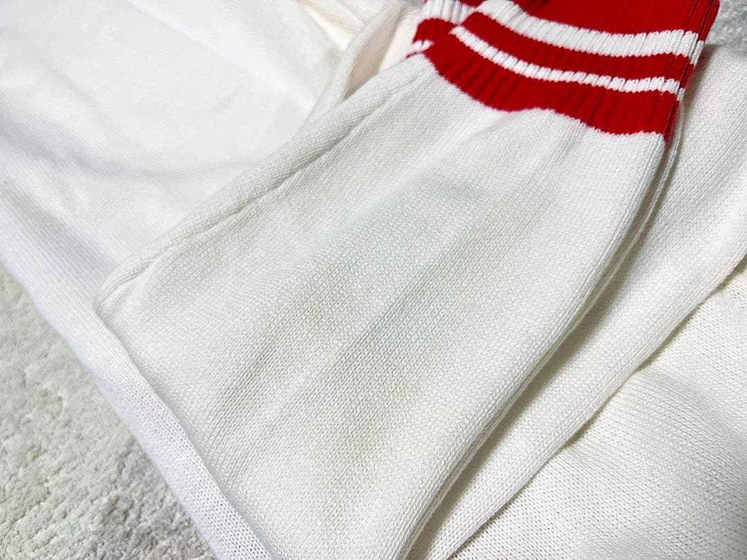 莉犬くん グッズセット 15点＋年内購入でアクキー×2おまけ付き