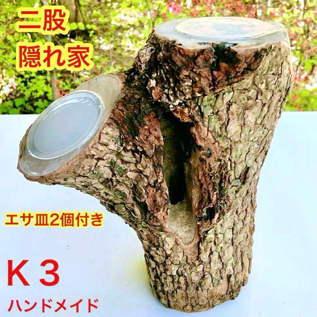 隠れ家 クワリウム 天然樹洞 エサ皿クワガタ シェルター 登り木 止まり木