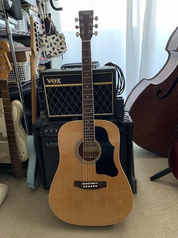 エレアコ Legend Powerd by ARIA LJ-15EN