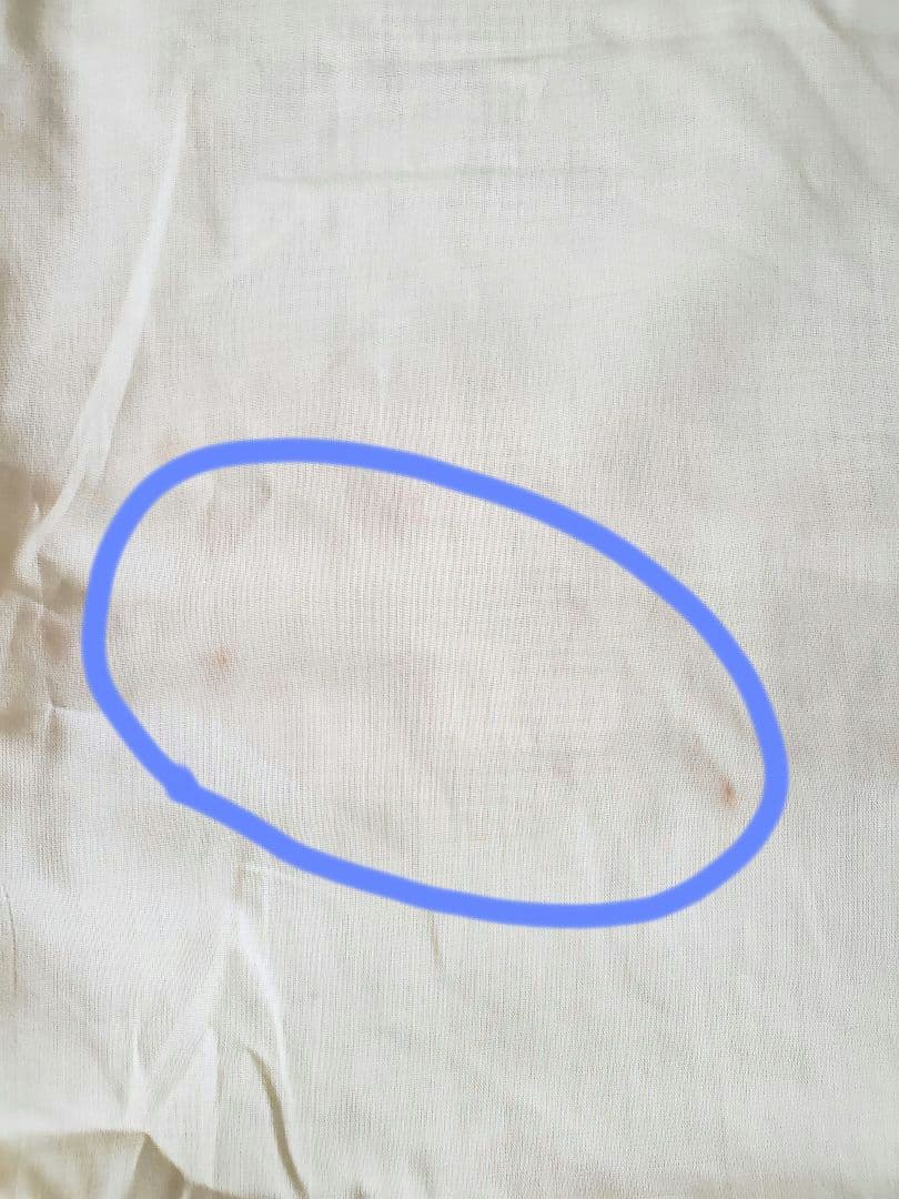 【児島優子】画家　油彩画　黄花