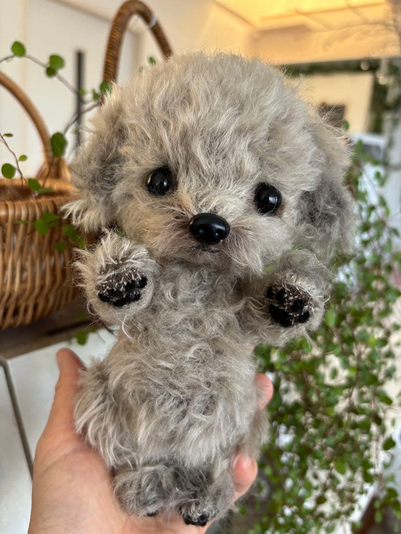 テディプードル テディわんこ トイプードル マルプー ハンドメイド