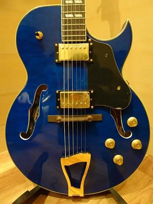 Del alma Guitars モデルThin Line Jazz Del alma Guitars モデルThin
