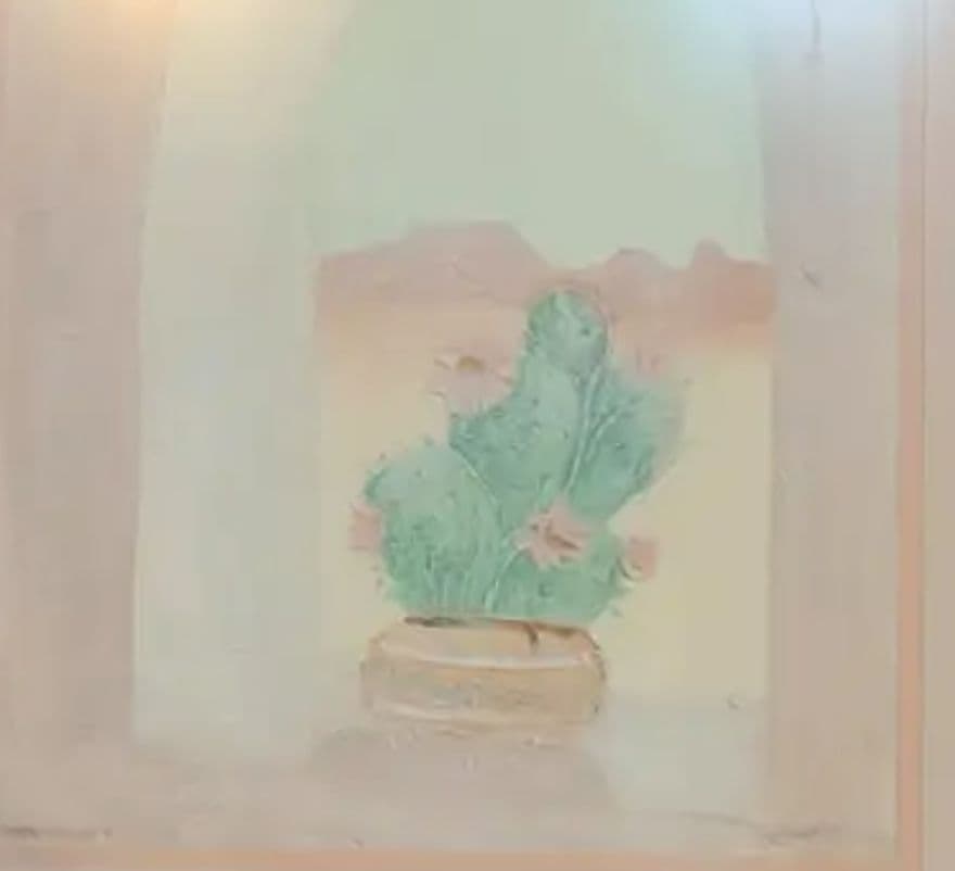 ヴァンガードスタジオ　サボテン　アンドレ　Vanguard Studio