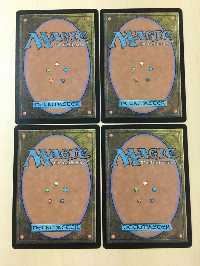 MTG 湿地の干潟 日本語 4枚