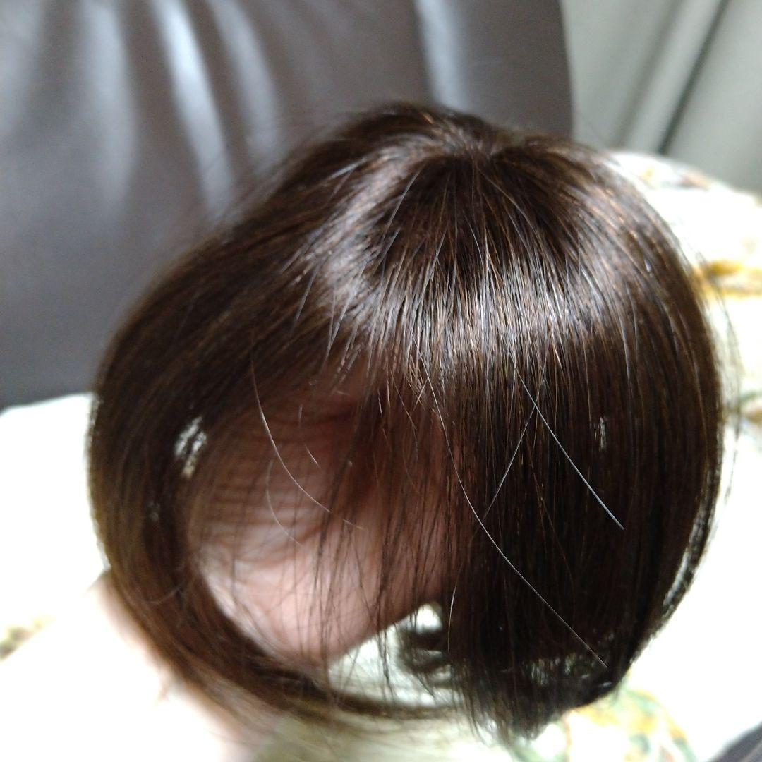 未使用アートネイチャー ジュリアオージュ