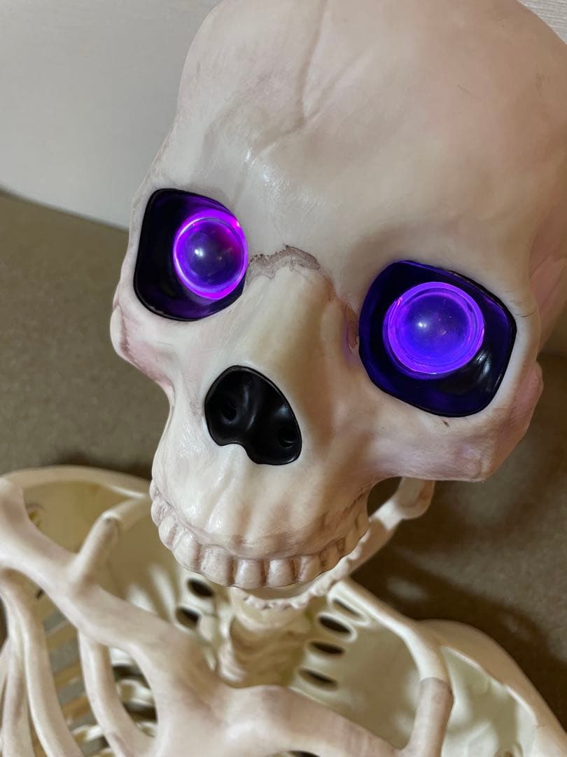 デカすぎ！】ガイコツ ハロウィン 人体模型 骨 ハロウィン 150cm