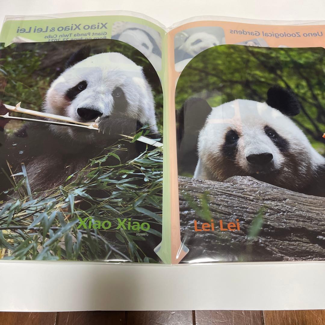 上野動物園　シャオシャオ＆レイレイ　10点セット＆リーリーとシンシンの本