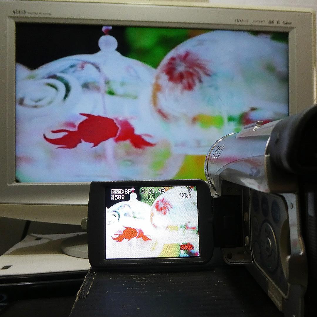 動作良好 パナソニックNV-GS200 MiniDVビデオカメラ　DVD化に最適
