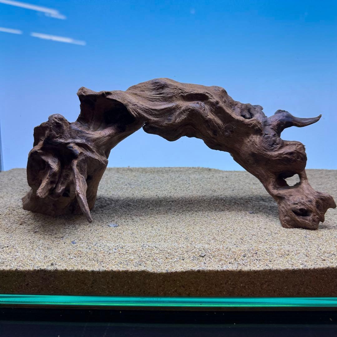 MRW-7232 自立赤系天然流木 アーチ流木 45cm水槽用流木 アクアリウム