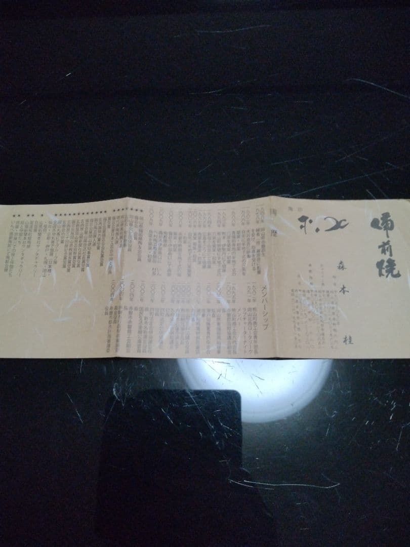 【備前焼 窯変長皿】伝統工芸士 森本 桂／送料込み！