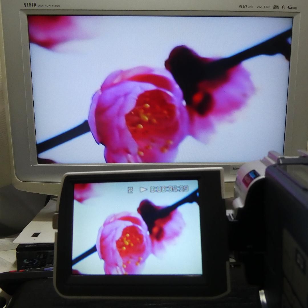 動作品 ソニーDCR-TRV17 MiniDV ビデオカメラ DVDダビングに