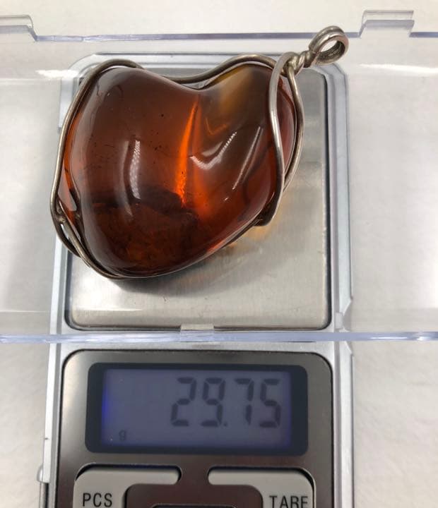 植物入りペンダント ネックレス 即納 琥珀 天然石 銀 シルバー