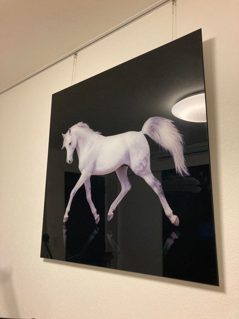 フランフラン 白い馬のアート作品 大判 現代絵画
