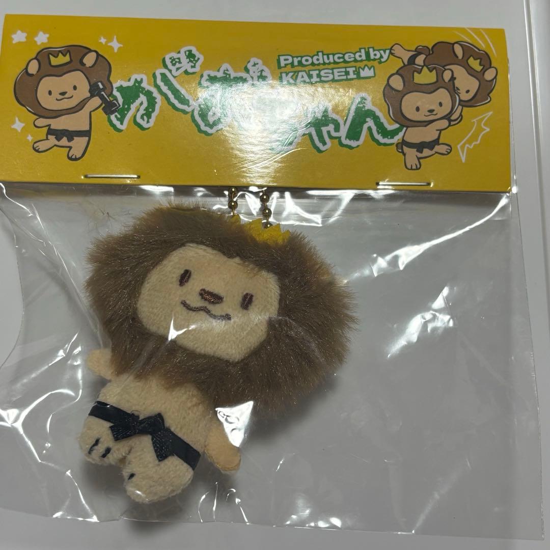 THE RAMPAGE 武知海青 がおちゃん メンプロ 匿名配送 S115587023