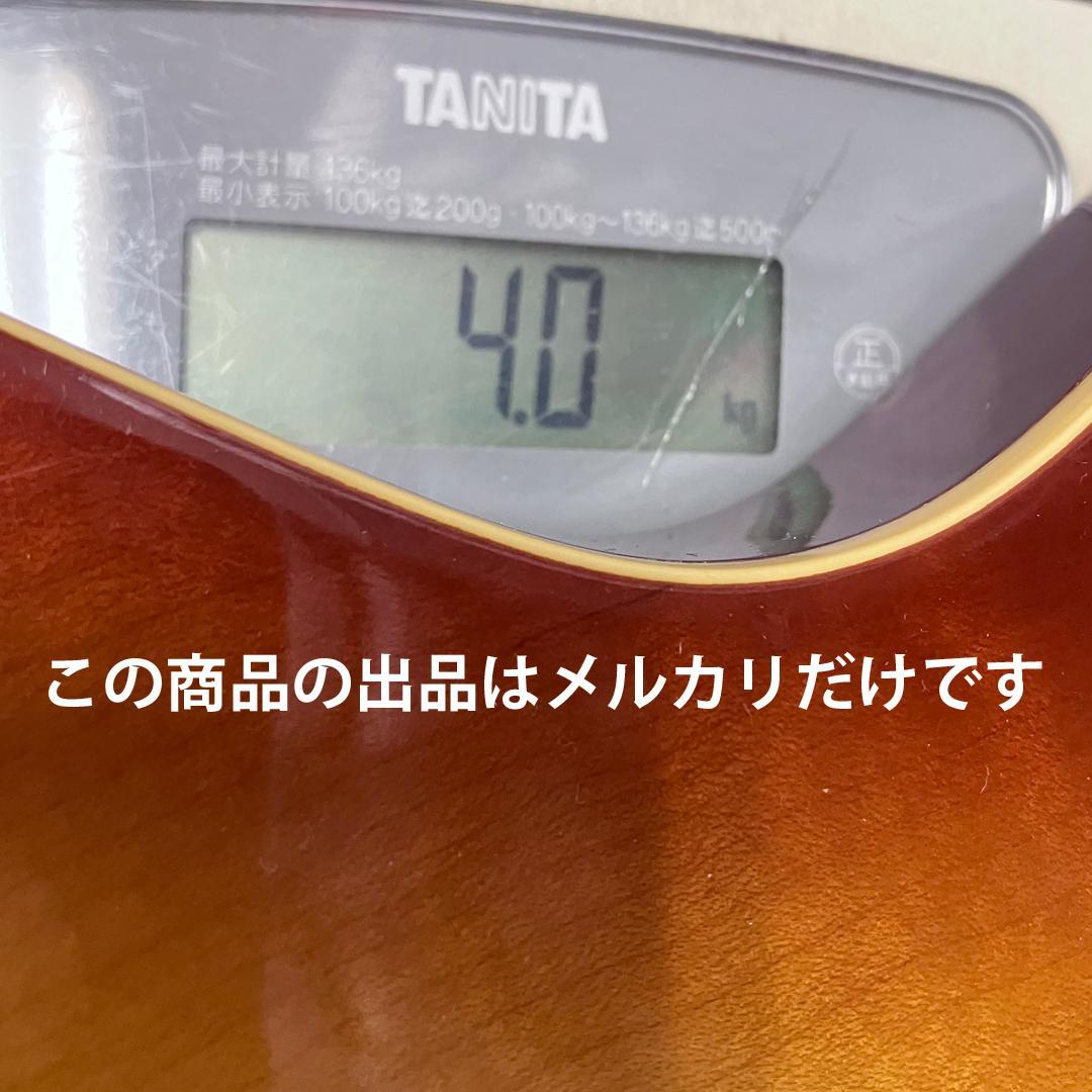 tokai レスポール リボーン LS-100 Les Paul REBORN