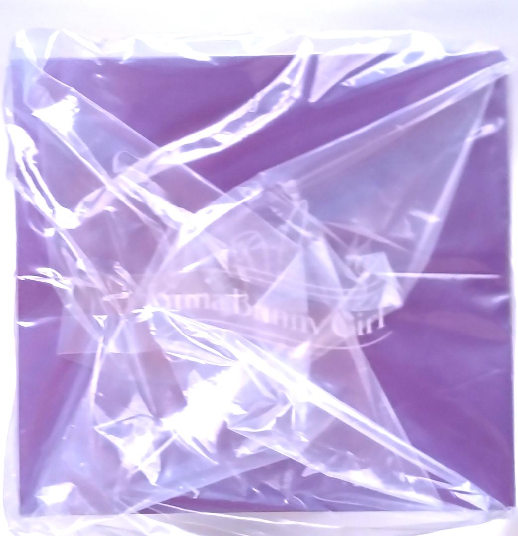 ユナ バニーガールVer. 1/4スケールフィギュア　BearPanda