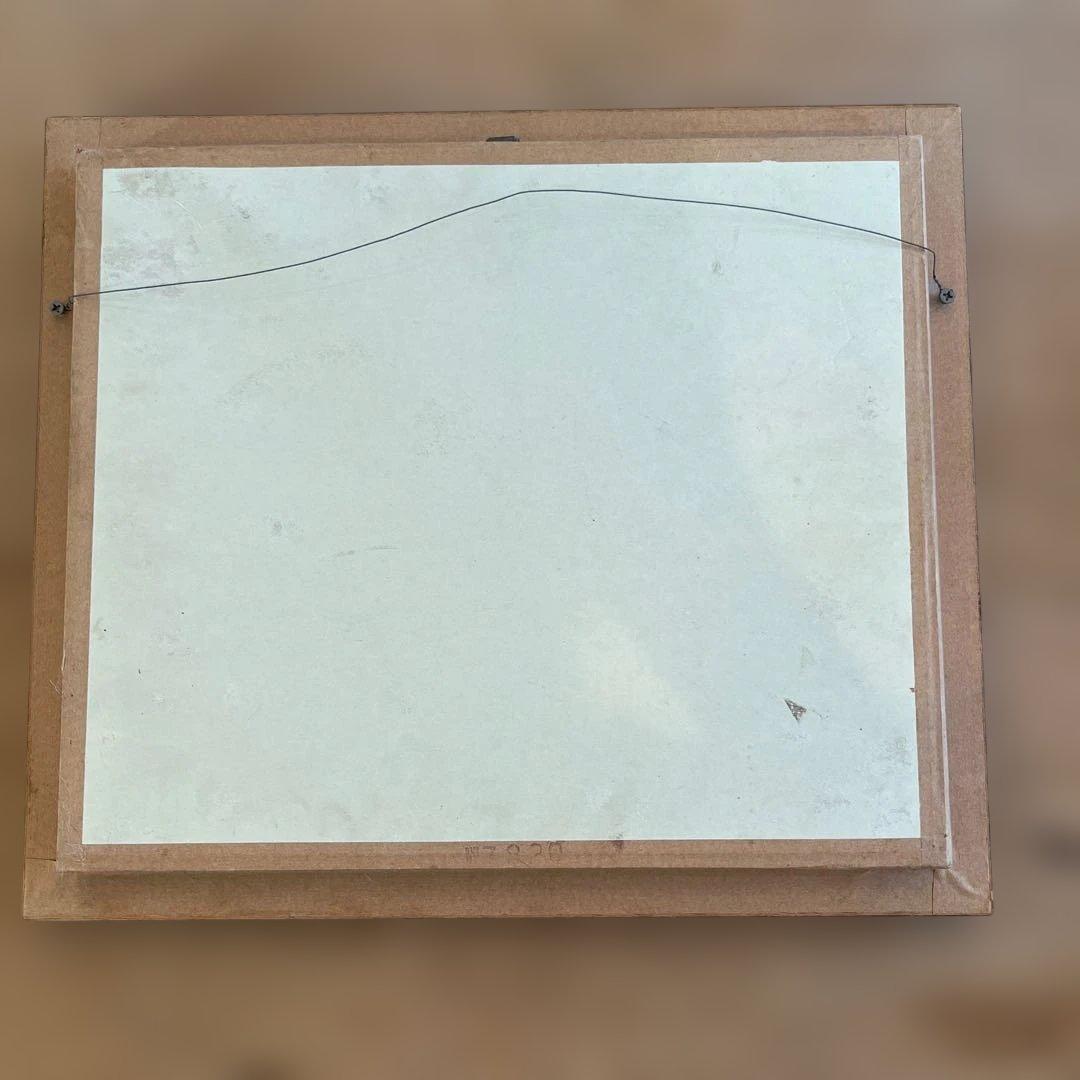 マレーシア 剥製ヴィンテージマレーオオニフシ 標本