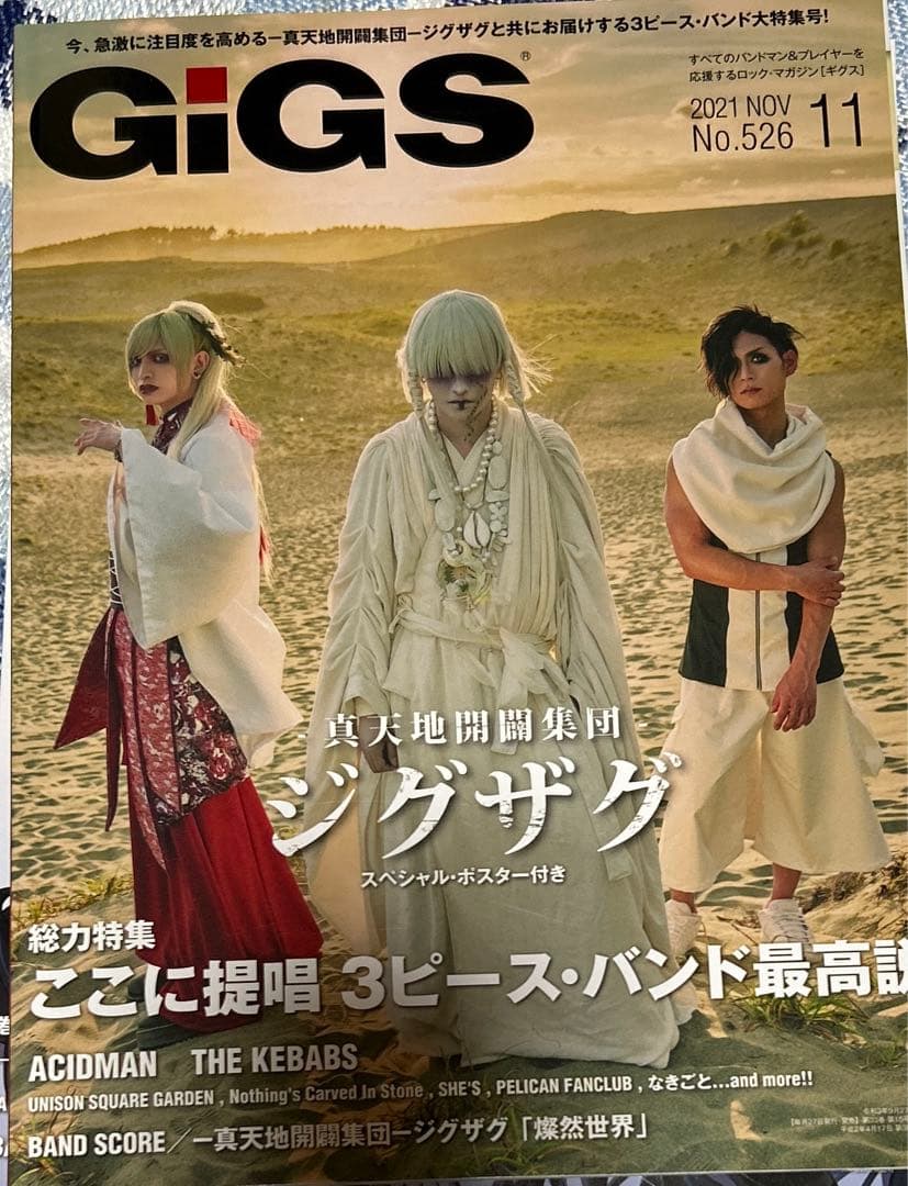 真天地開闢集団ジグザグ 雑誌 トレカ 命