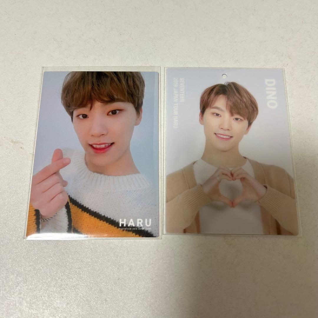 seventeenセブチ ディノ トレカ - メルカリ