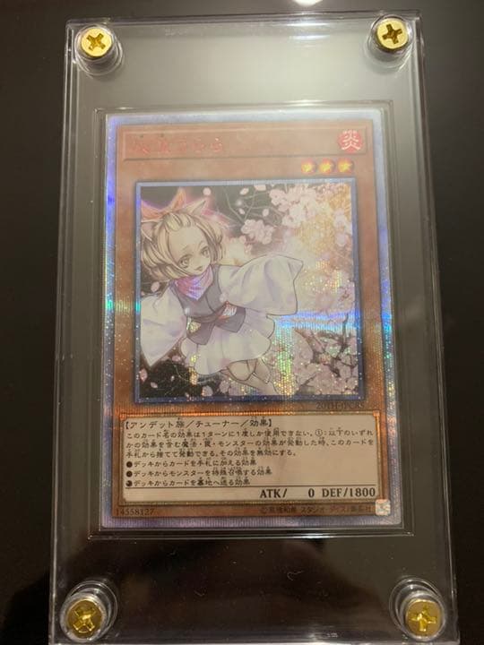 遊戯王 灰流うらら シークレット 絵違い 20枚 Amazon.co.jp: 遊戯王