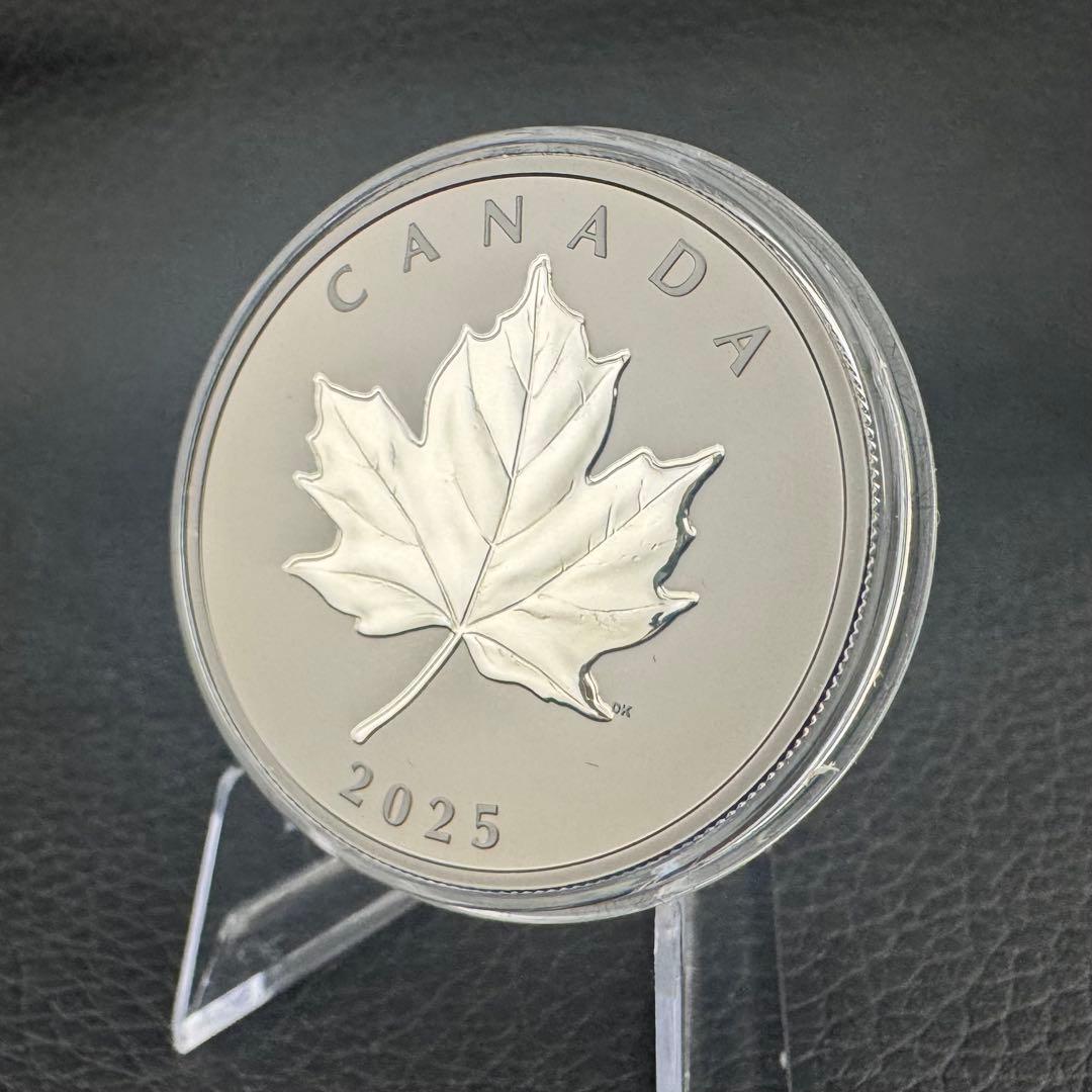 カナダ エレガントメイプルリーフ 銀貨 ブラックロジウム 艶消し