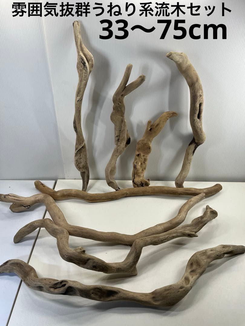 F8アク抜き済み流木セット爬虫類シェルター 登り木 インテリア 生け花