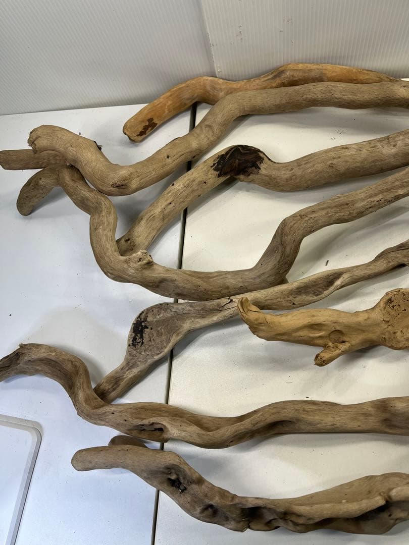 F8アク抜き済み流木セット爬虫類シェルター 登り木 インテリア 生け花