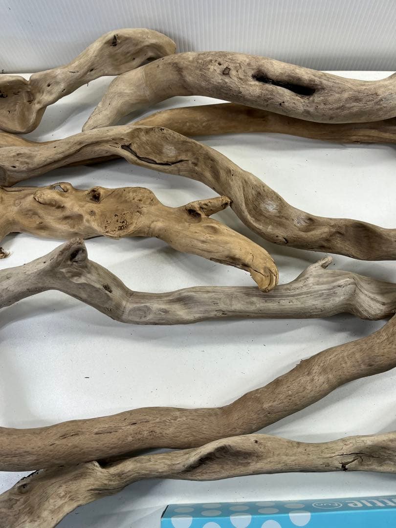 F8アク抜き済み流木セット爬虫類シェルター 登り木 インテリア 生け花