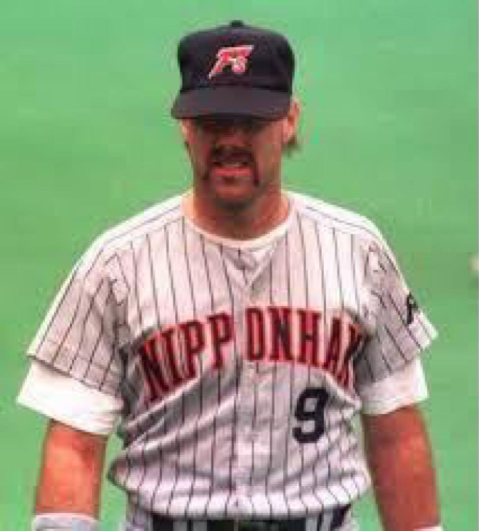 【大特価】日本ハム　ウィンタース　シュー　2個セット